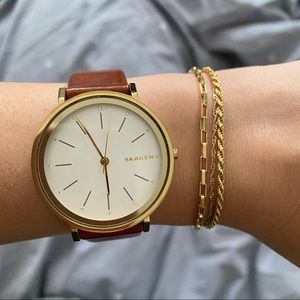 Skagen 'Hald' Brown Leather Watch